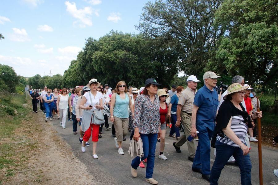 Romería de la Virgen del Castillo en Fariza