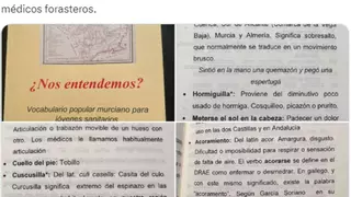 Estas palabras en murciano expresan lo que nadie se atreve a decir en español: "Chumino", "Curcusilla"...