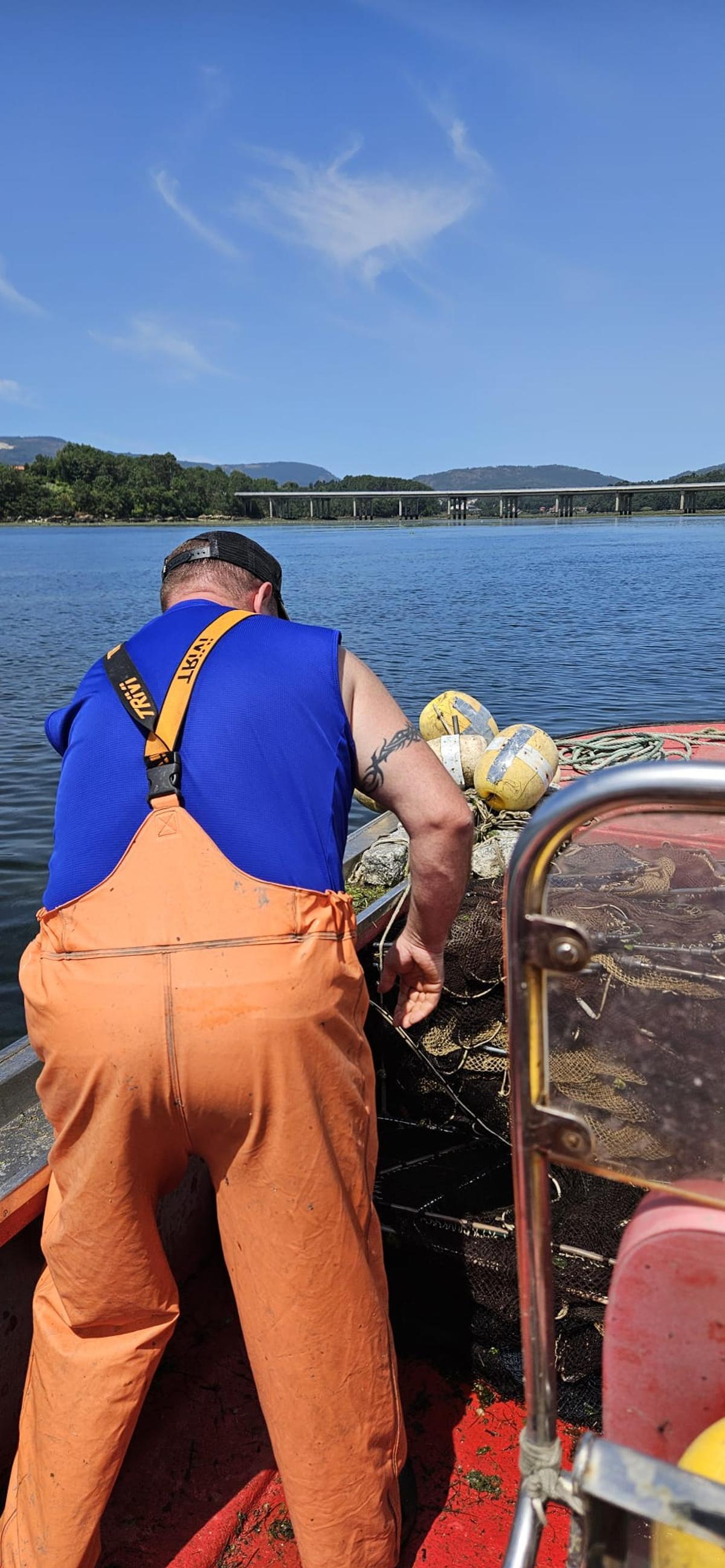 Un pescador de anguila en Arousa.