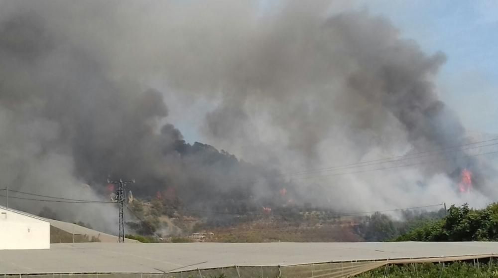 El incendio de Bolulla, esta mañana.