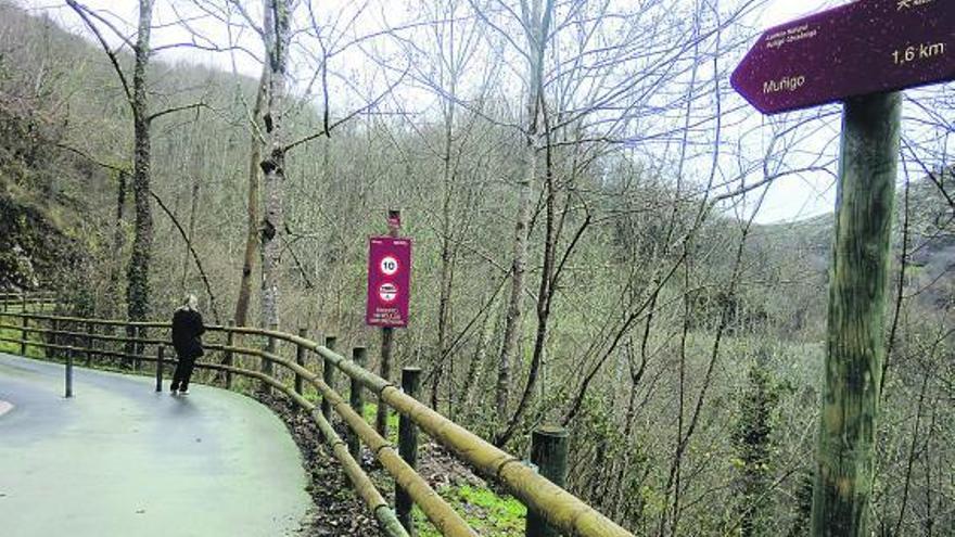 Una mujer en la senda peatonal y cicloturista de Muñigu.