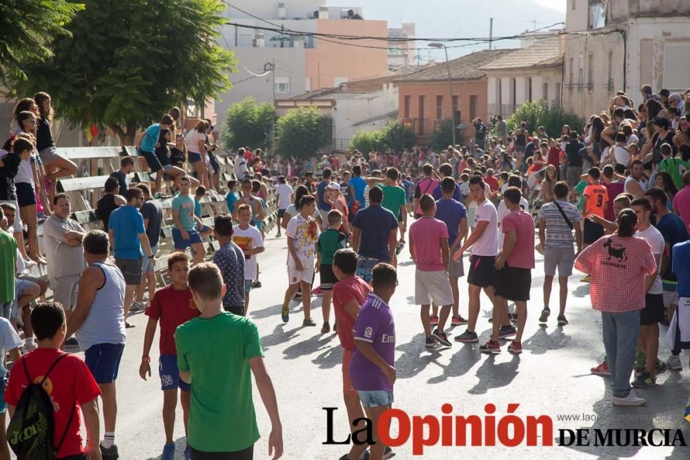 Encierro 'pequeño' en Calasparra