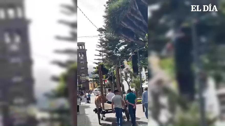 Un carreta en La Laguna sorprende a los transeúntes