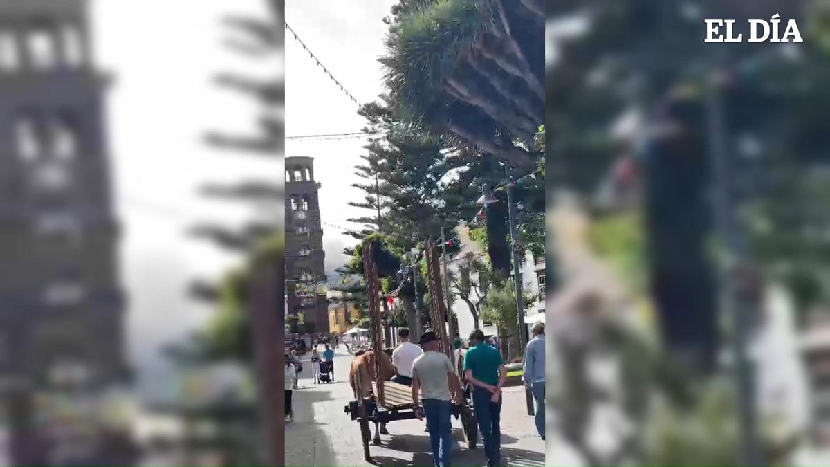 Un carreta en La Laguna sorprende a los transeúntes