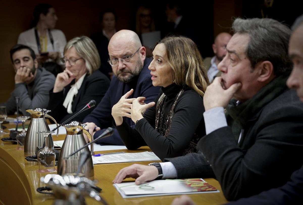 La síndica adjunta de Compromís, Isaura Navarro, interviene en la comisión de investigación de la dana.