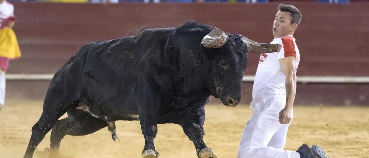 El recortador de Sagunto, Andrés Civera.