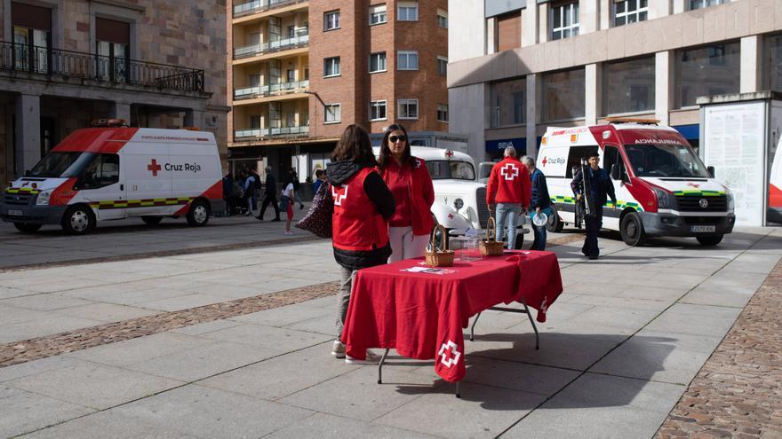 El Día de la Banderita visibiliza la labor de Cruz Roja Zamora