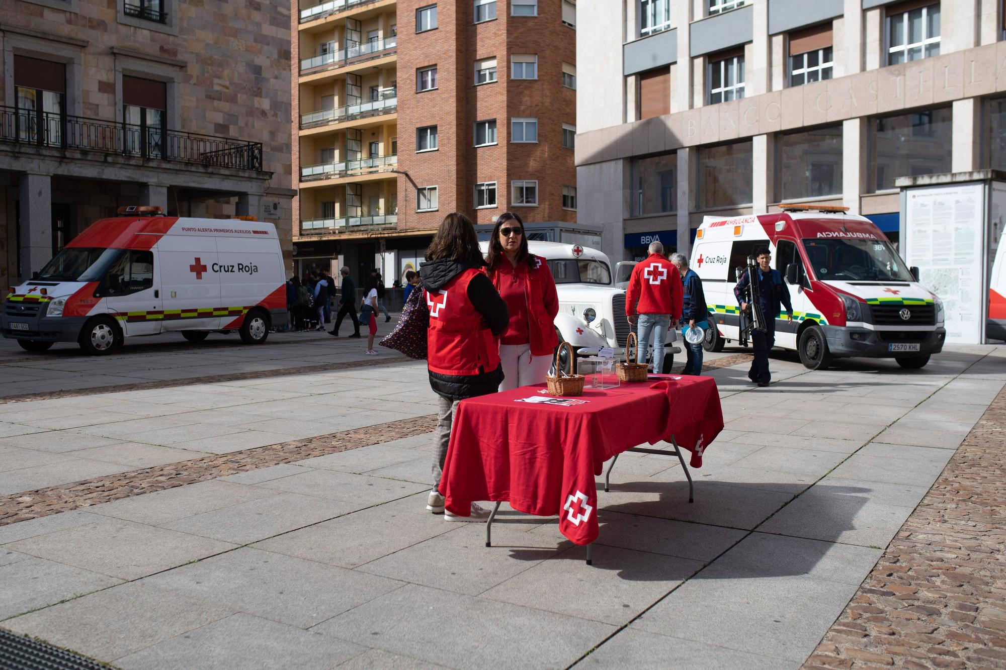 Zamora. Día de la Banderita de Cruz Roja 2024