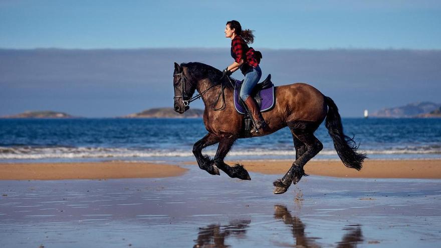 La lucha de Justine para hacer justicia por su caballo: «Teníamos una conexión especial. Era mi vida»