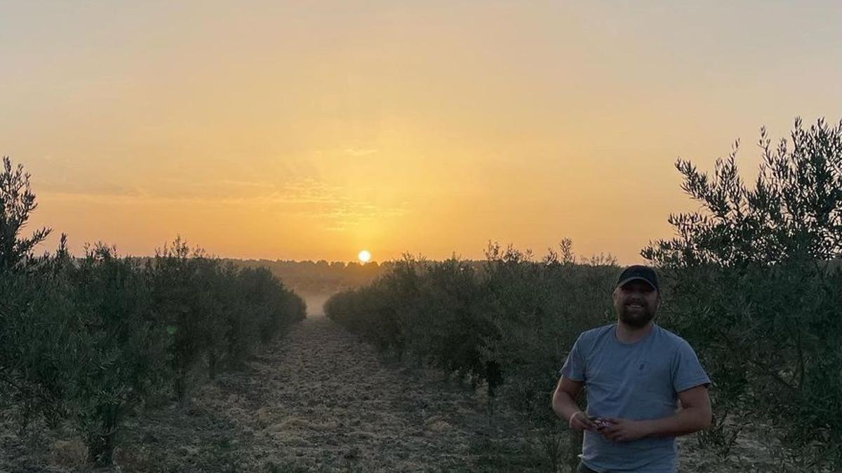 Tom Rohde, junto a sus campos de olivos.