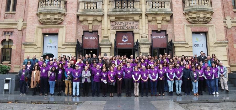 25N en Córdoba: todos suman contra la violencia machista