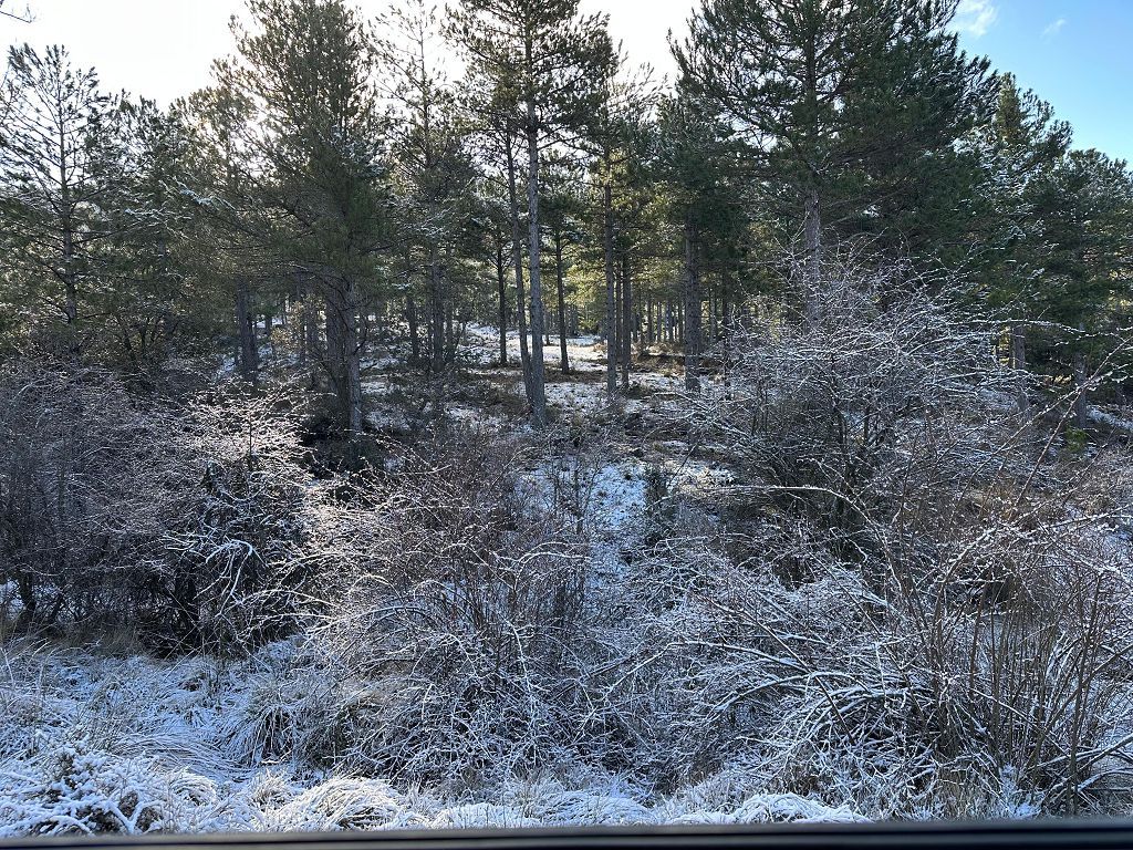 La nieve cumbra el techo de la Región en Cañada de la Cruz, Moratalla