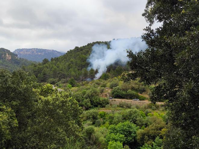 Incendio en s'Estret de Valldemossa