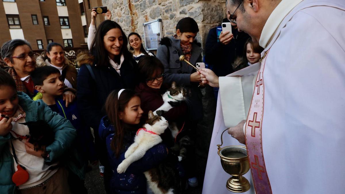 Bendición de mascotas por San Antón en Gijón en la iglesia de Viesques
