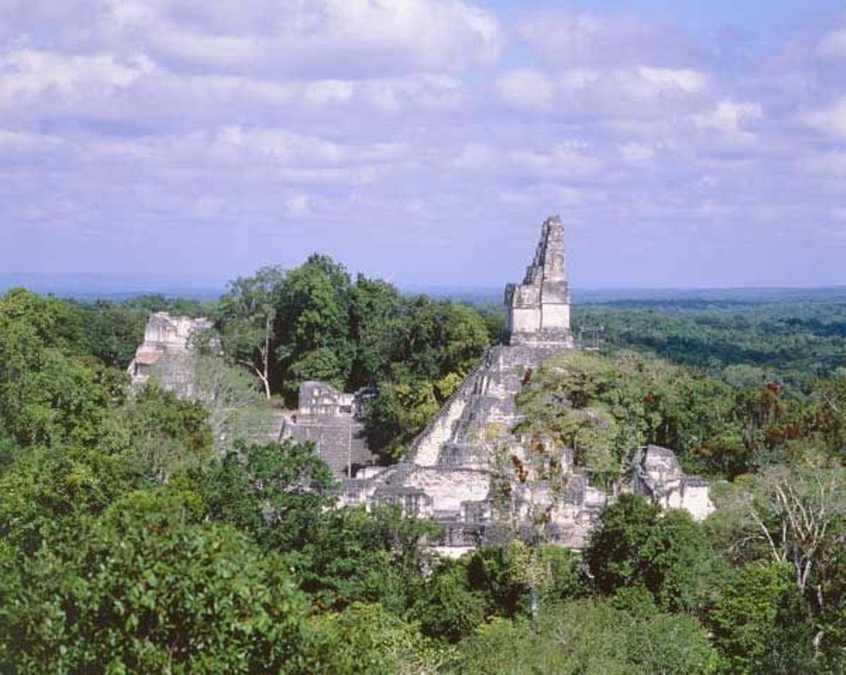 Templo antiguo en Tikal.