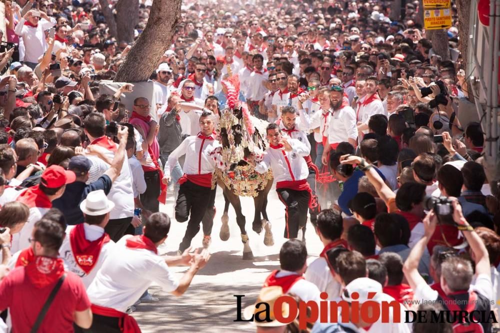 Carrera de los Caballos del Vino