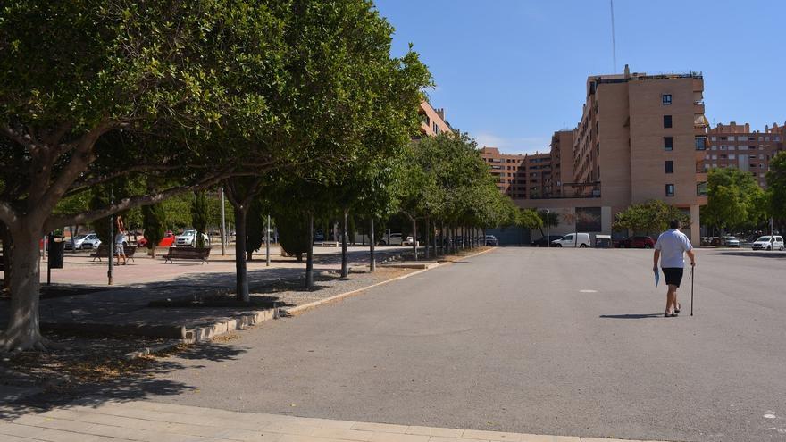 El Ayuntamiento trasplantará una hilera de árboles para facilitar la construcción del centro de salud de Garbinet