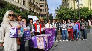 El movimiento contra la violencia machista prepara las protestas del 25N en Córdoba