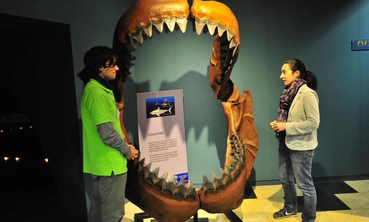La directora del MUPE, Ainara Aberasturi, junto a un técnico en las instalaciones.  | ANTONIO AMORÓS