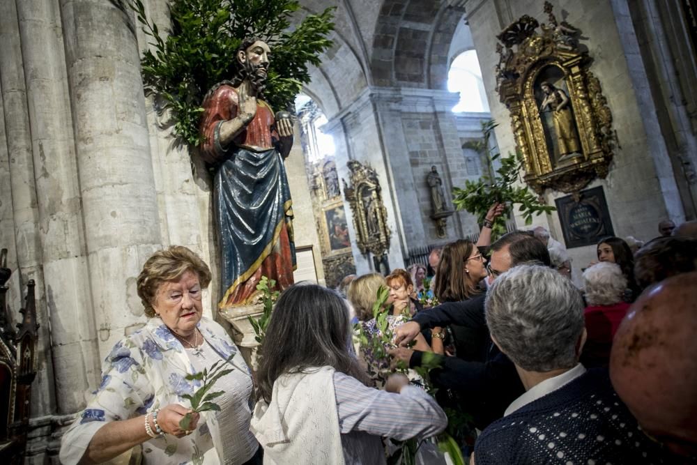 Fiesta de San Salvador en la Catedral