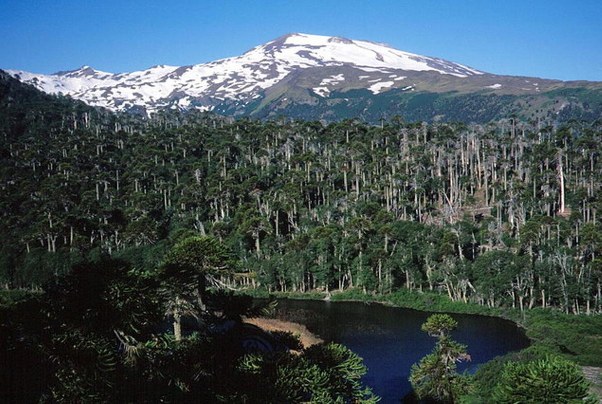 Imatge del volcà Copahue, a la regió xilena de Bío Bío.
