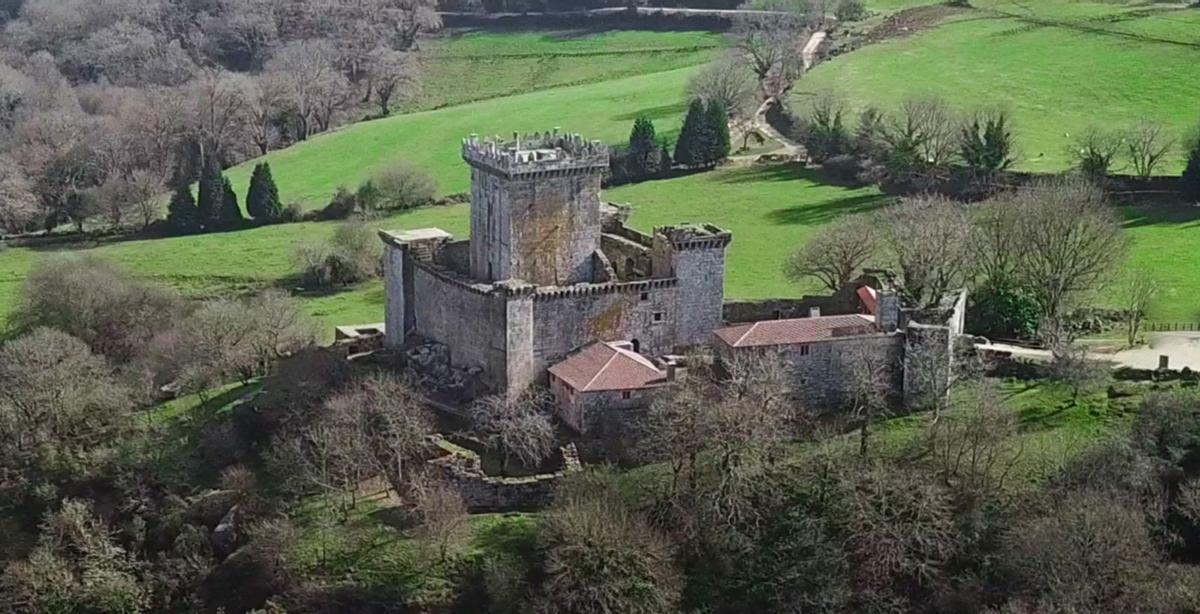 Imaxe dun cervo hastado nun petróglifo de Campo Lameiro.  | // FDV