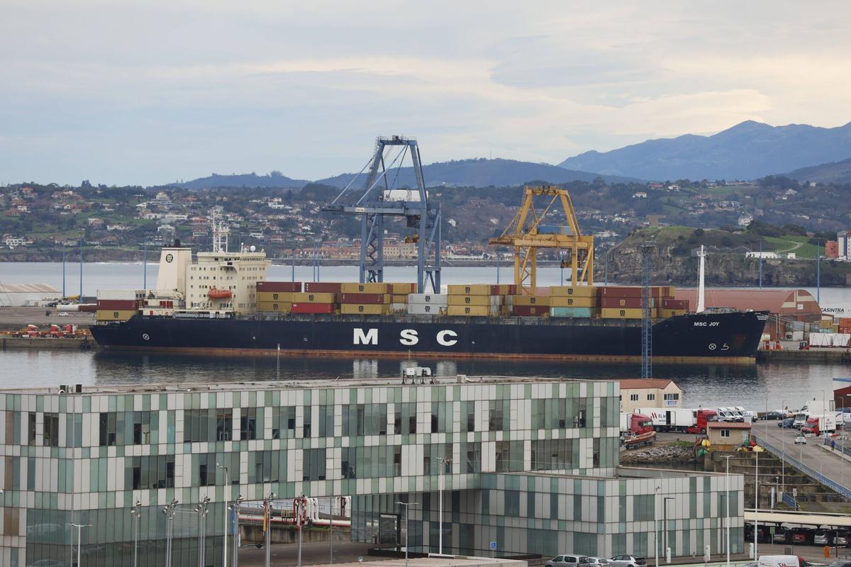 El portacontenedores "MSC Joy", esta mañana, atracado en El Musel.