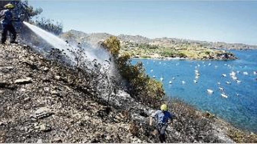 Les flames van calcinar gairebé dues hectàrees de matolls i oliveres.