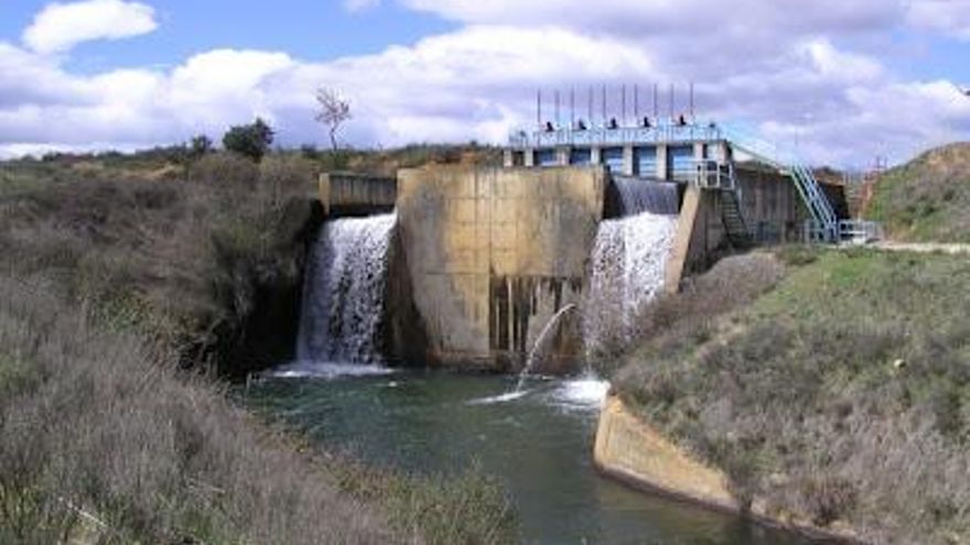 Regantes de seis pueblos de Valverde urgen agua para sus cultivos