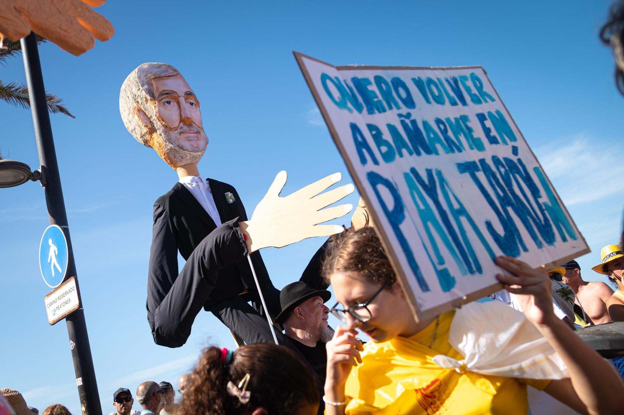 Todas las imágenes de la manifestación del 20-O en Tenerife