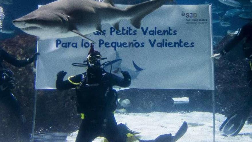 Antonio Orozco, en el baño solidario con tiburones.