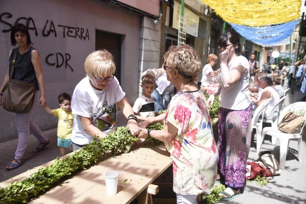 Enramades de Sallent 2019