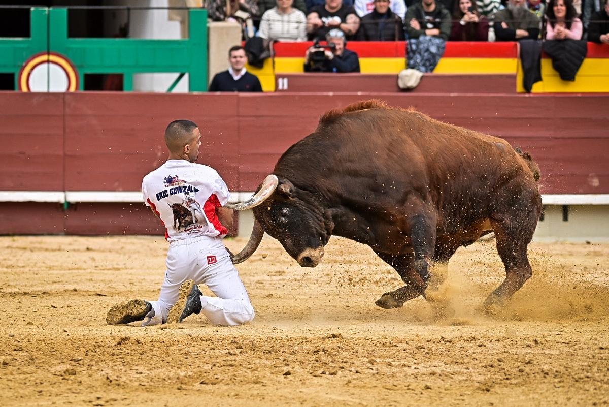 Galería de imágenes: Los maestros de la calle toman la plaza de Castelló