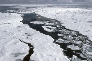 Un estudio asegura que el Ártico podría quedarse sin hielo marino en 2027