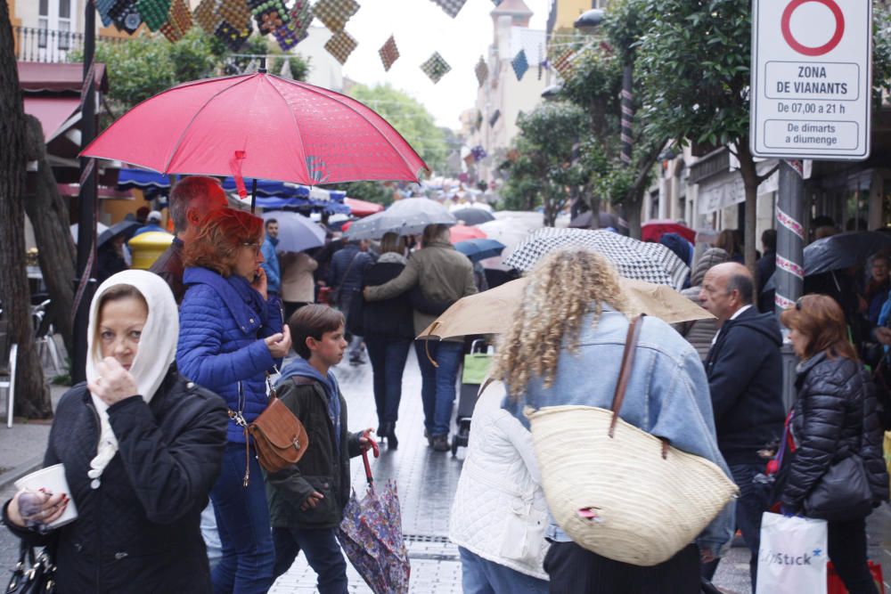 Flors i Violes a Palafrugell