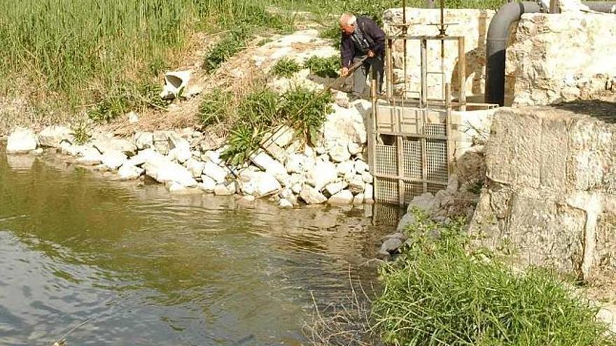 La CHS reconoce que el cauce bajo del Segura incumple una directiva europea