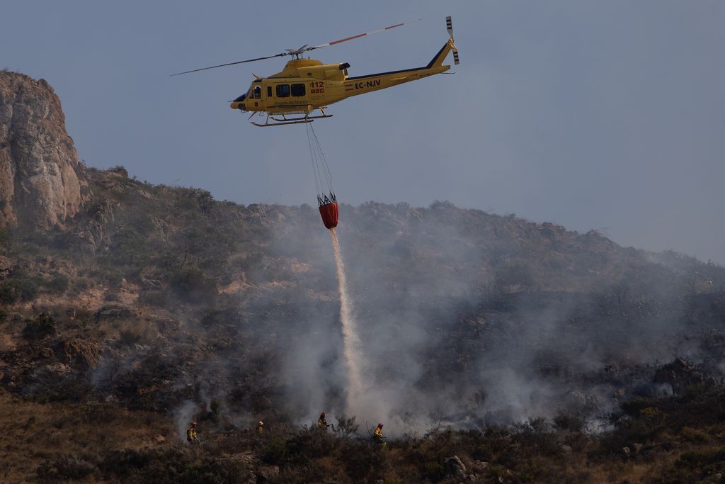 El incendio de las Cuestas del Cedacero, en imágenes