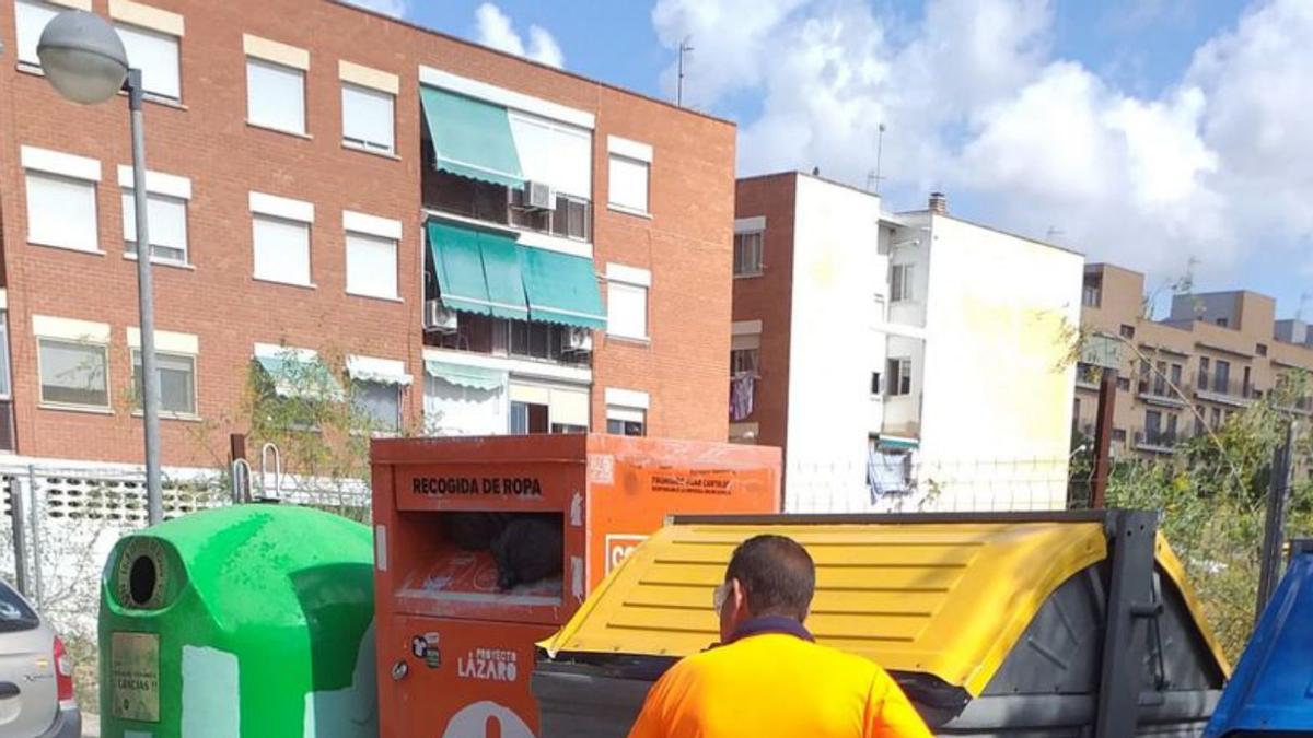 Las incidencias que trasladan los ciudadanos a la empresa responsable de la limpieza y recogida de residuos han bajado en los barrios, el centro y las playas. | INFORMACIÓN