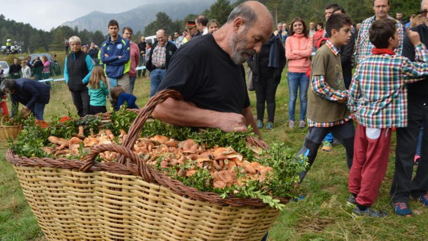 Participant al concurs de l&#039;any passat