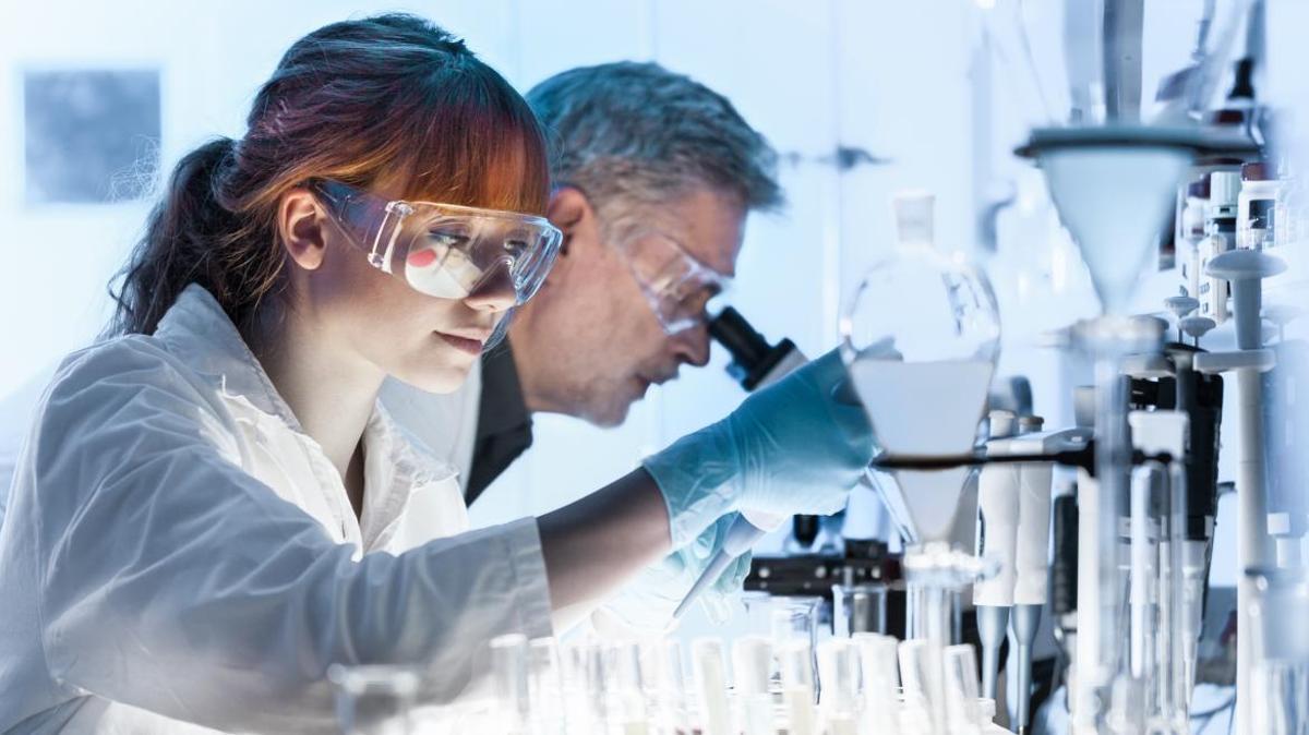 La Comunidad de Madrid convoca los IV Premios de Ciencia en Español que promueven la investigación para público generalista.