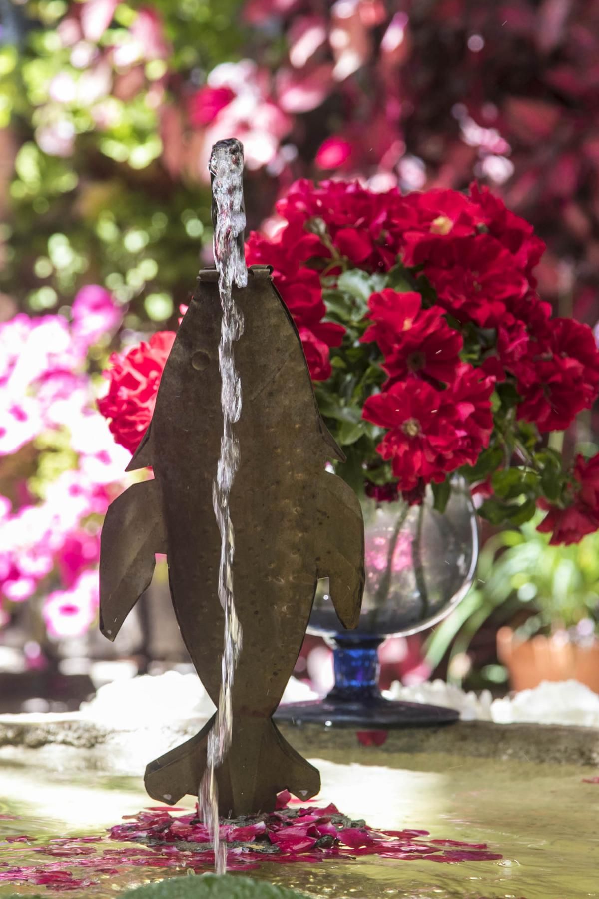 Fotogalería / Descubriendo los patios de la ruta Santiago-San Pedro