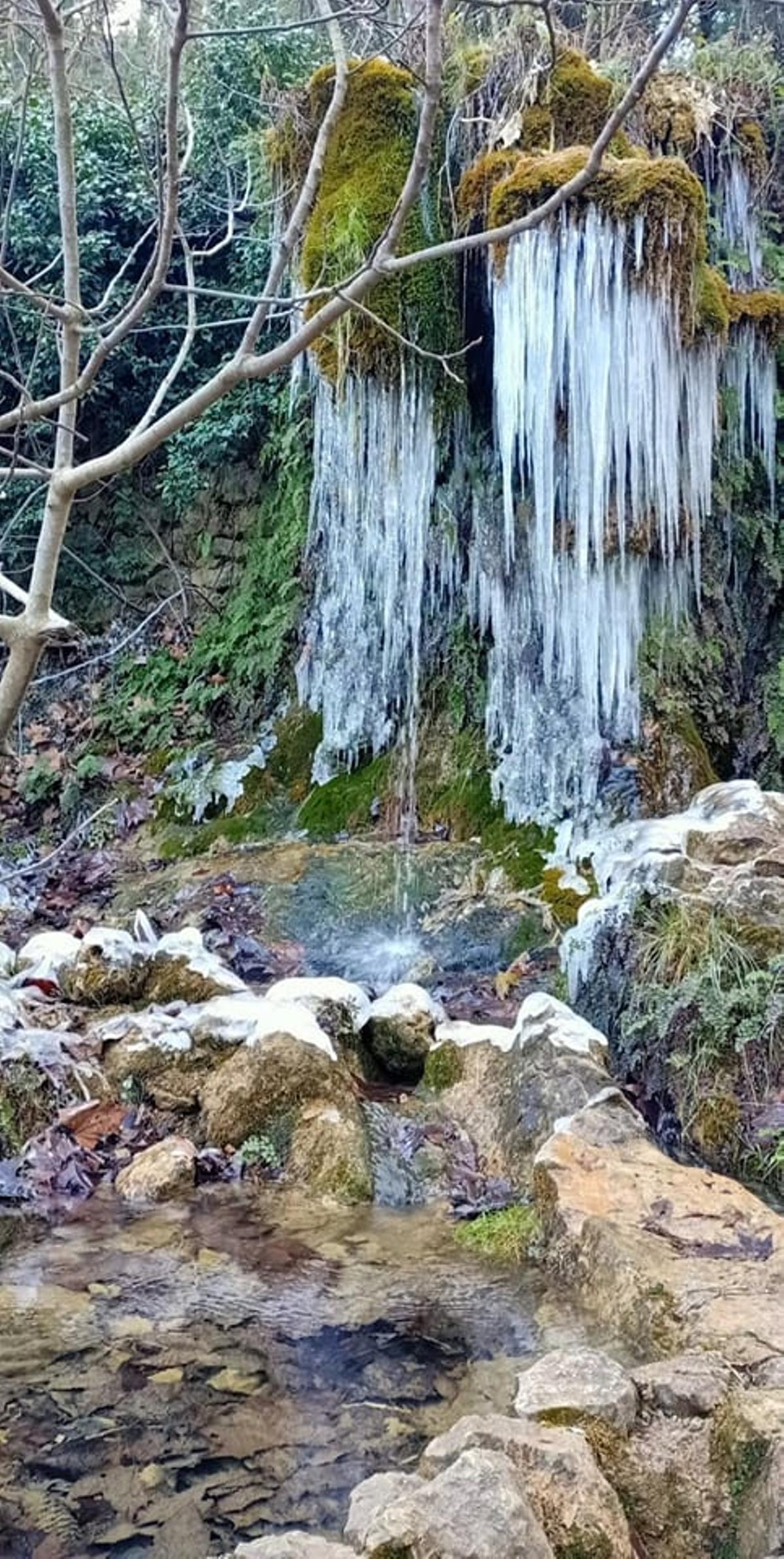 Carámbanos en el paraje del Molí Mató de Agres.