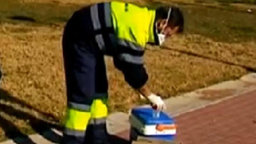 Xàtiva halla el sistema para acabar con los excrementos en la calle que Gandia no logra atajar