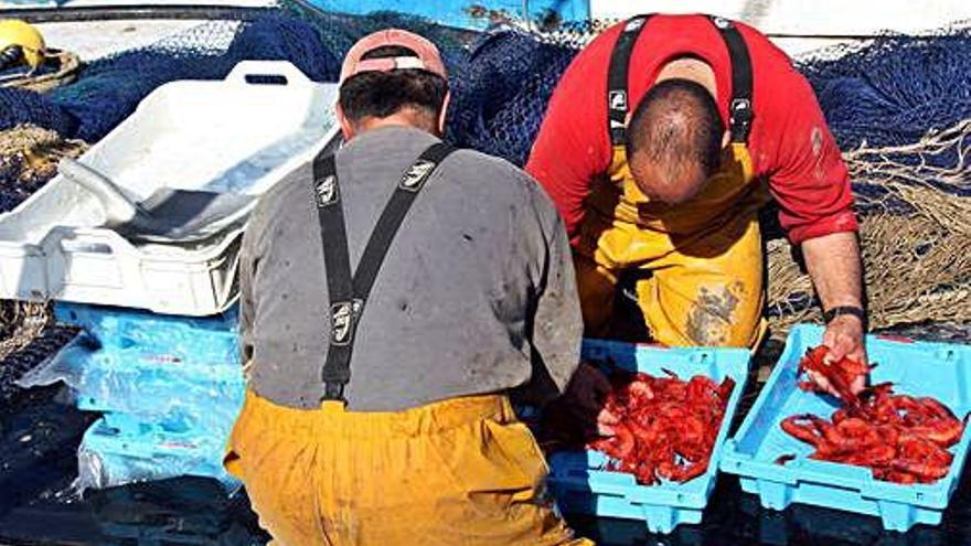 Els pescadors tornaran a feinejar el 5 de març.