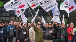 Despreniments, sots i arbres