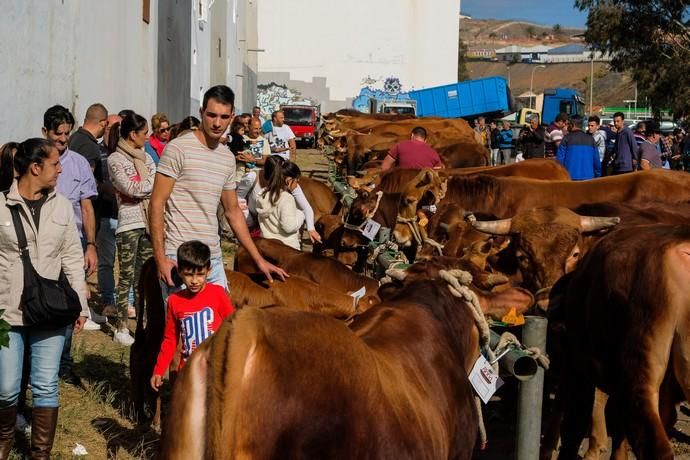 FIESTAS DE JINÁMAR