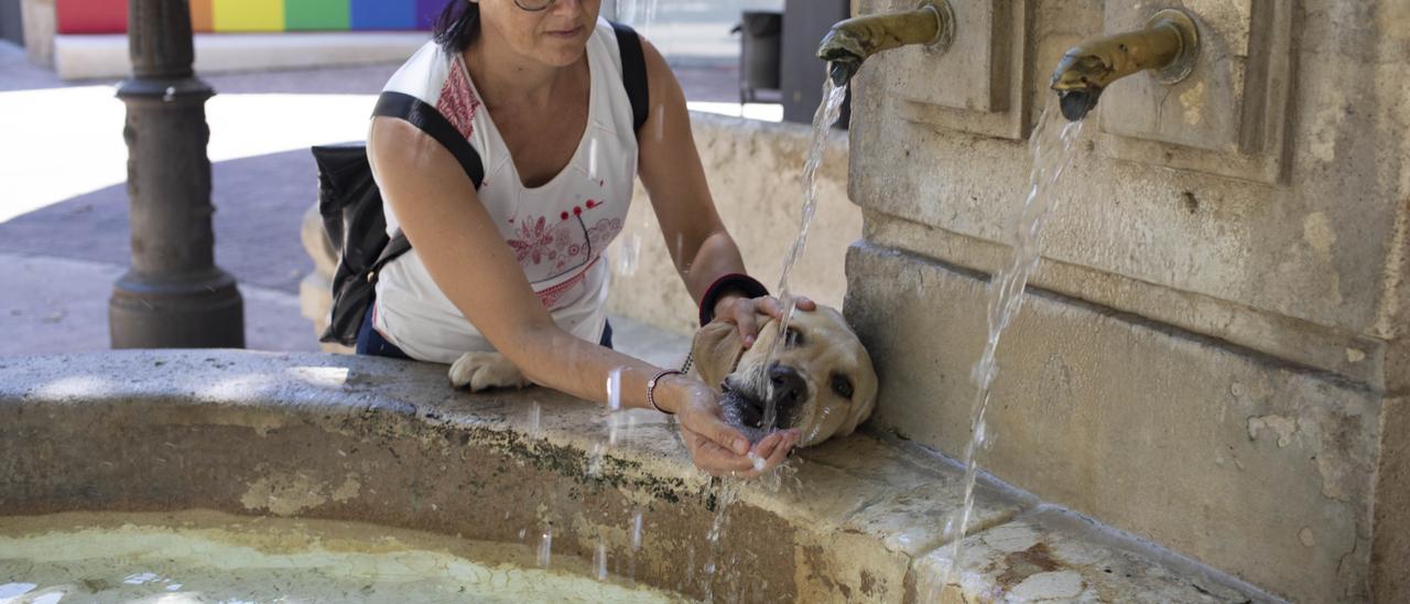 Una mujer le da de beber a su mascota en una fuente de Xàtiva, en una imagen de archivo.