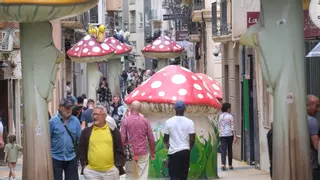 Diez años de unas setas que dieron vida a una calle de Alicante