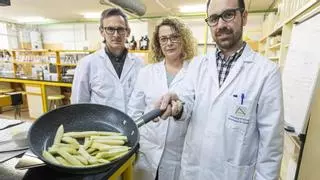 Investigadores de la Universidad de Alicante logran reducir las sustancias cancerígenas de las patatas fritas