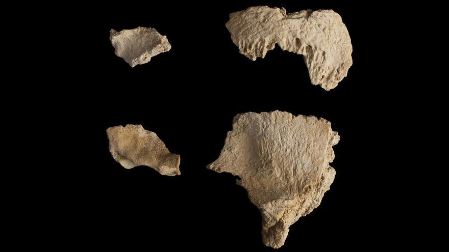 Hallados cuatro huesos del cráneo de un neandertal en Cataluña